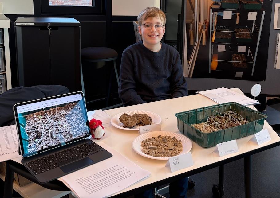 Junge sitzt hinter einem Tisch, auf dem Tisch ein aufgeklapptes Notebook, Betonkrümel, Pflanzenschale
