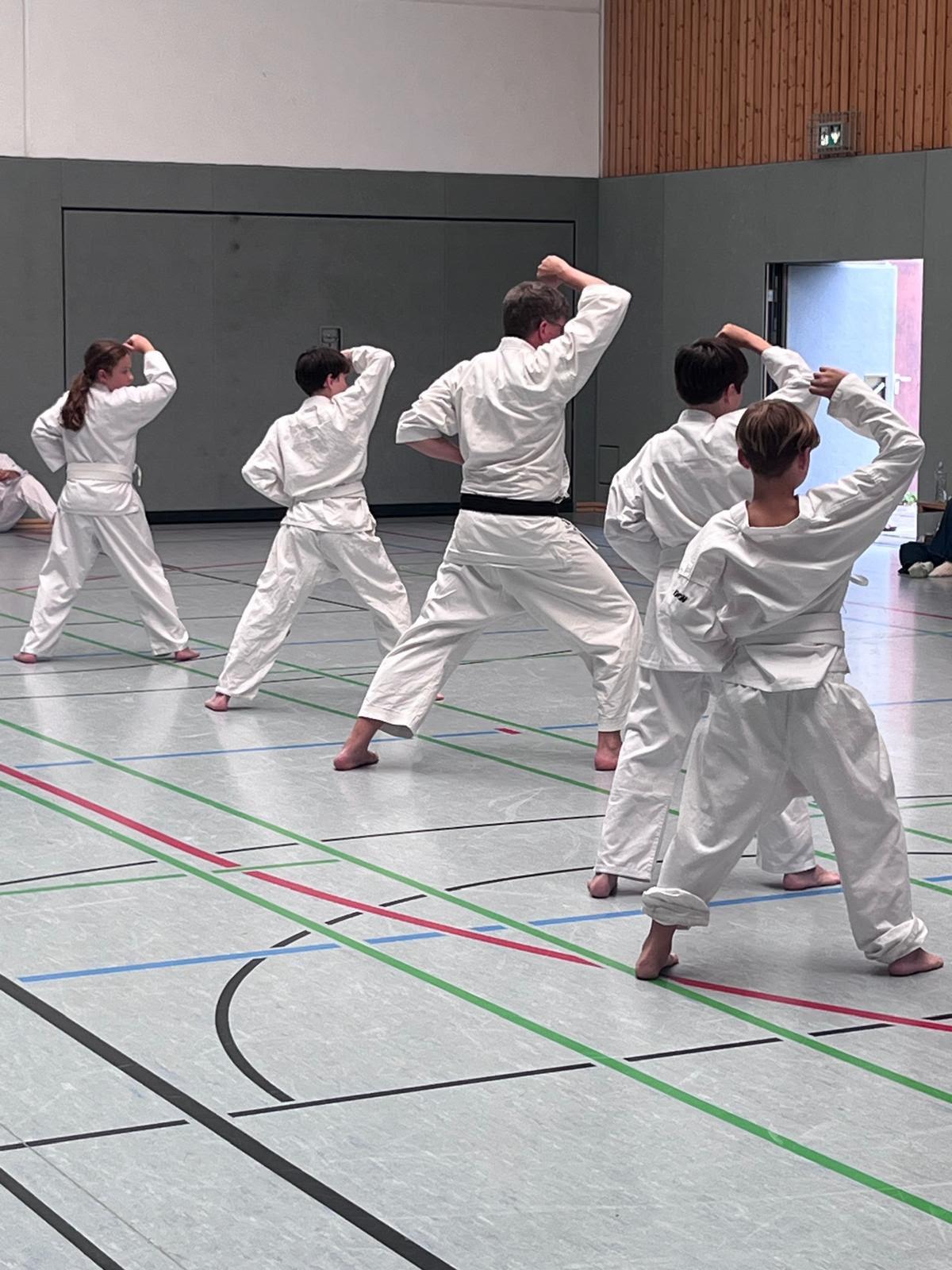Mädchen und Jungen in Karate-Anzügen und Karate-Haltung