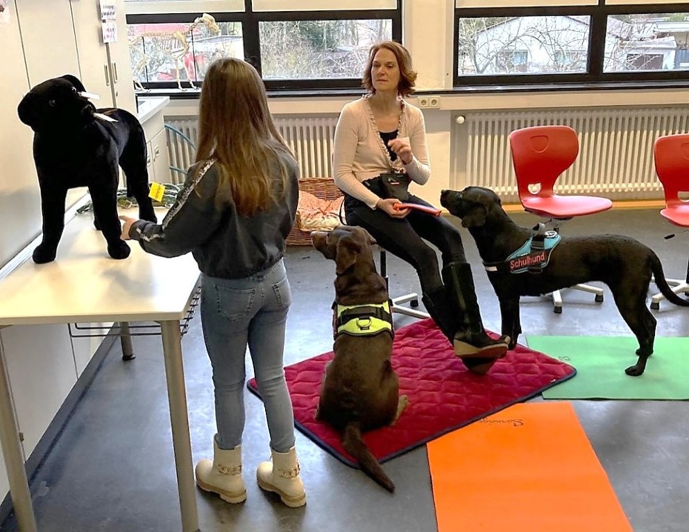 Schulhund und Stoffhund, Mädchen schaut sie sich an, Frau sitzt auf einem Stuhl