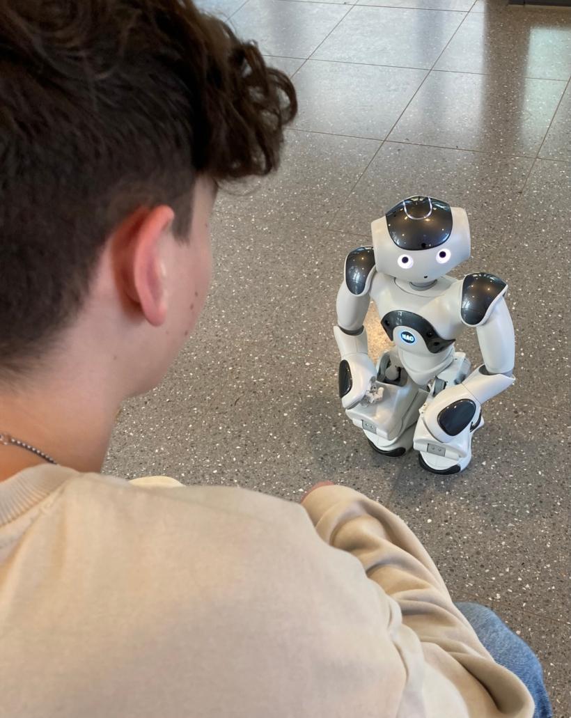 Der NAO Roboter sagt 'Hallo'.