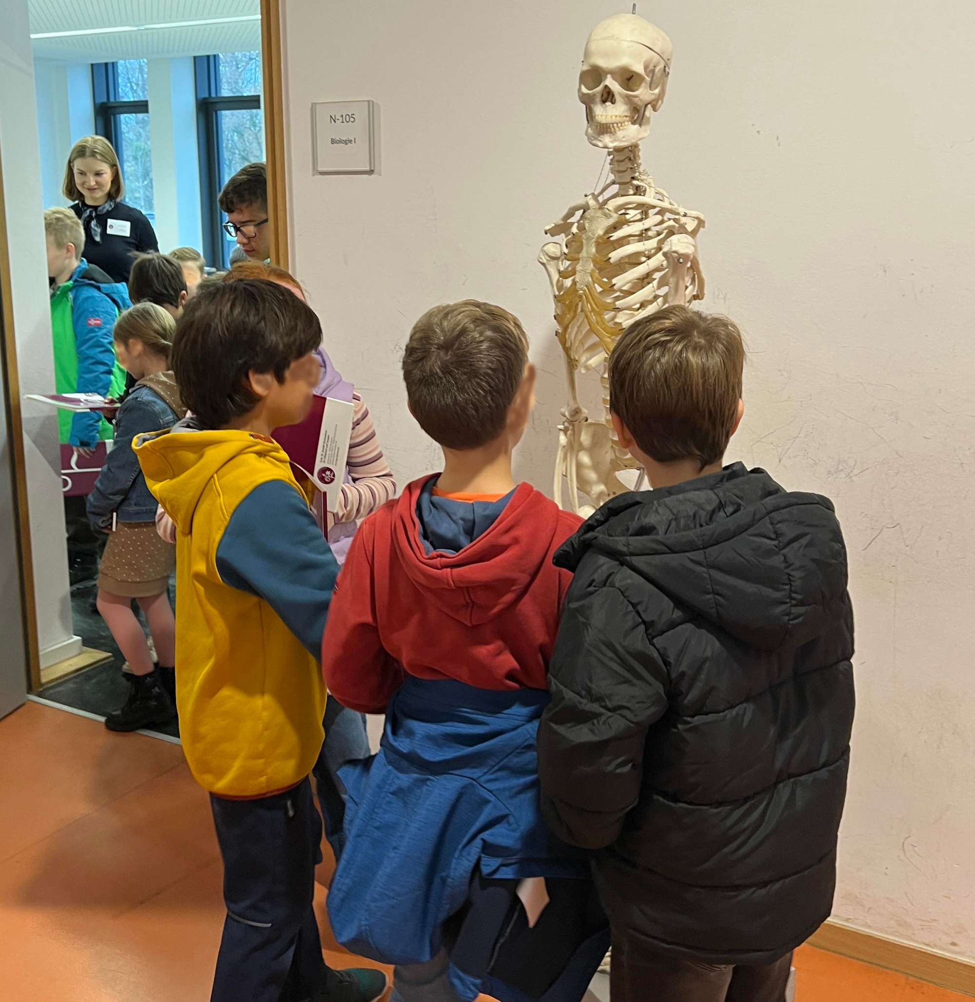 Kinder schauen sich vor dem Biologieraum ein Skelett an, im Hintergrund Lehrerin und weitere Kinder