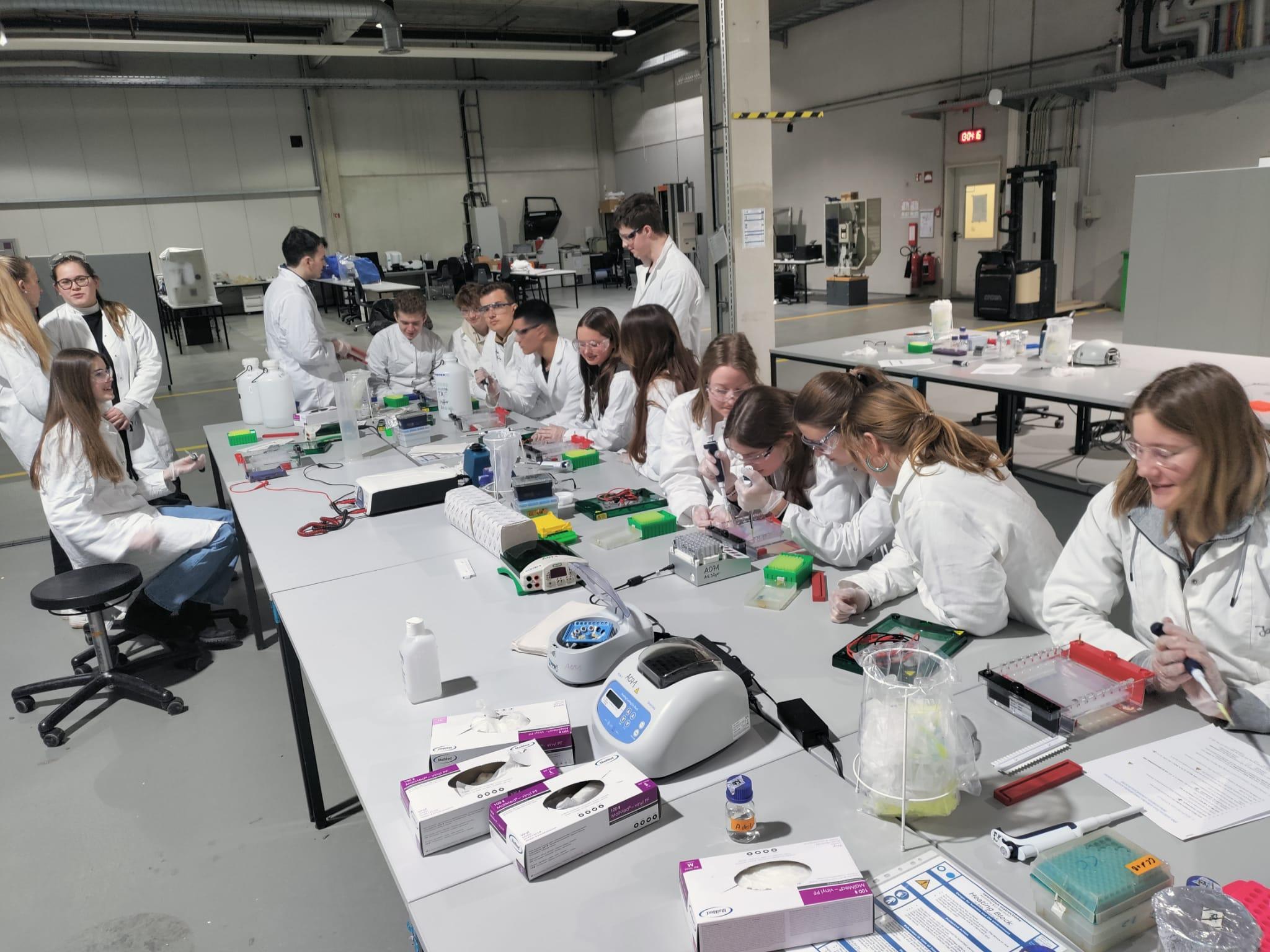Schülerinnen und Schüler im Labor
