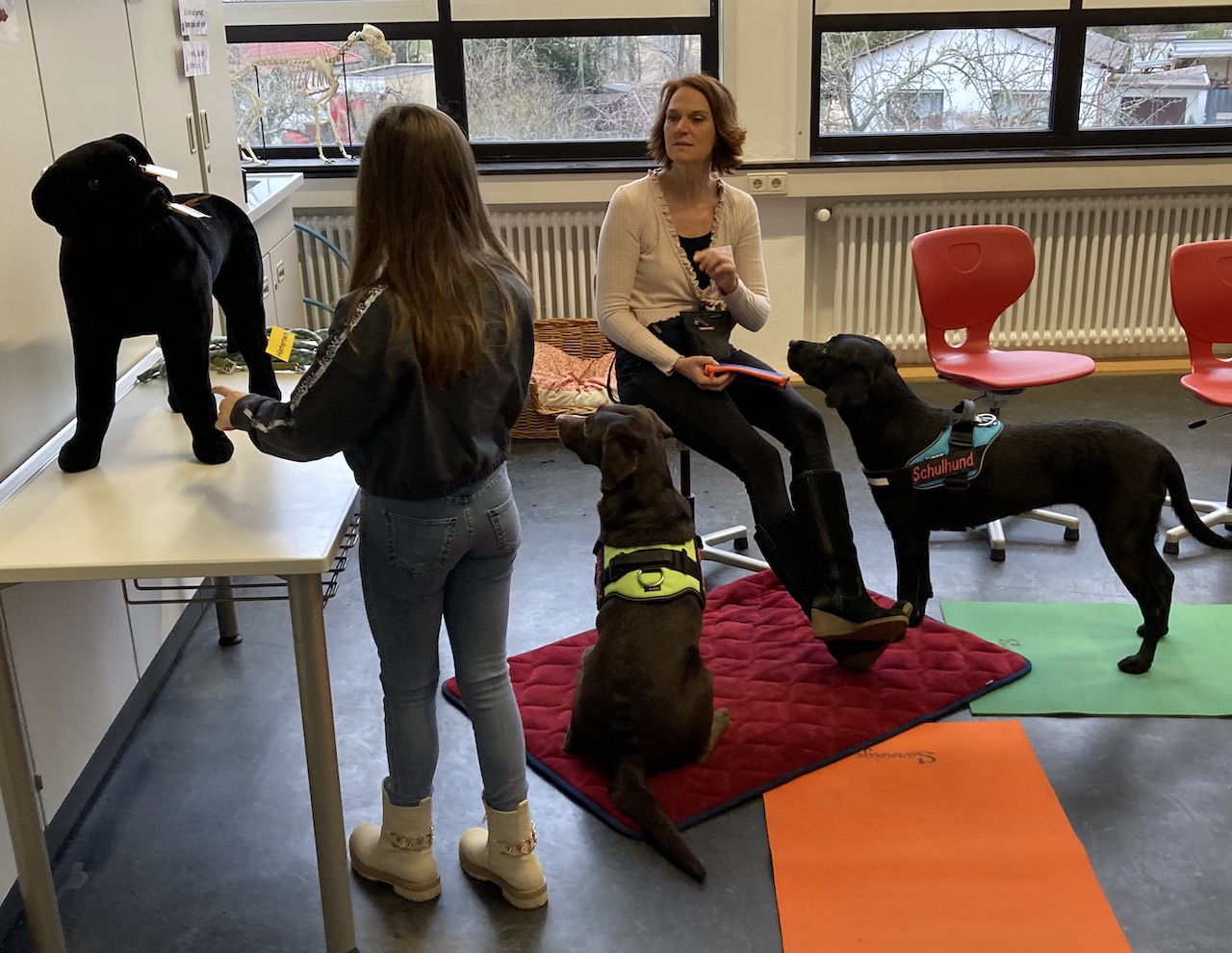 Workshop mit unseren Schulhunden