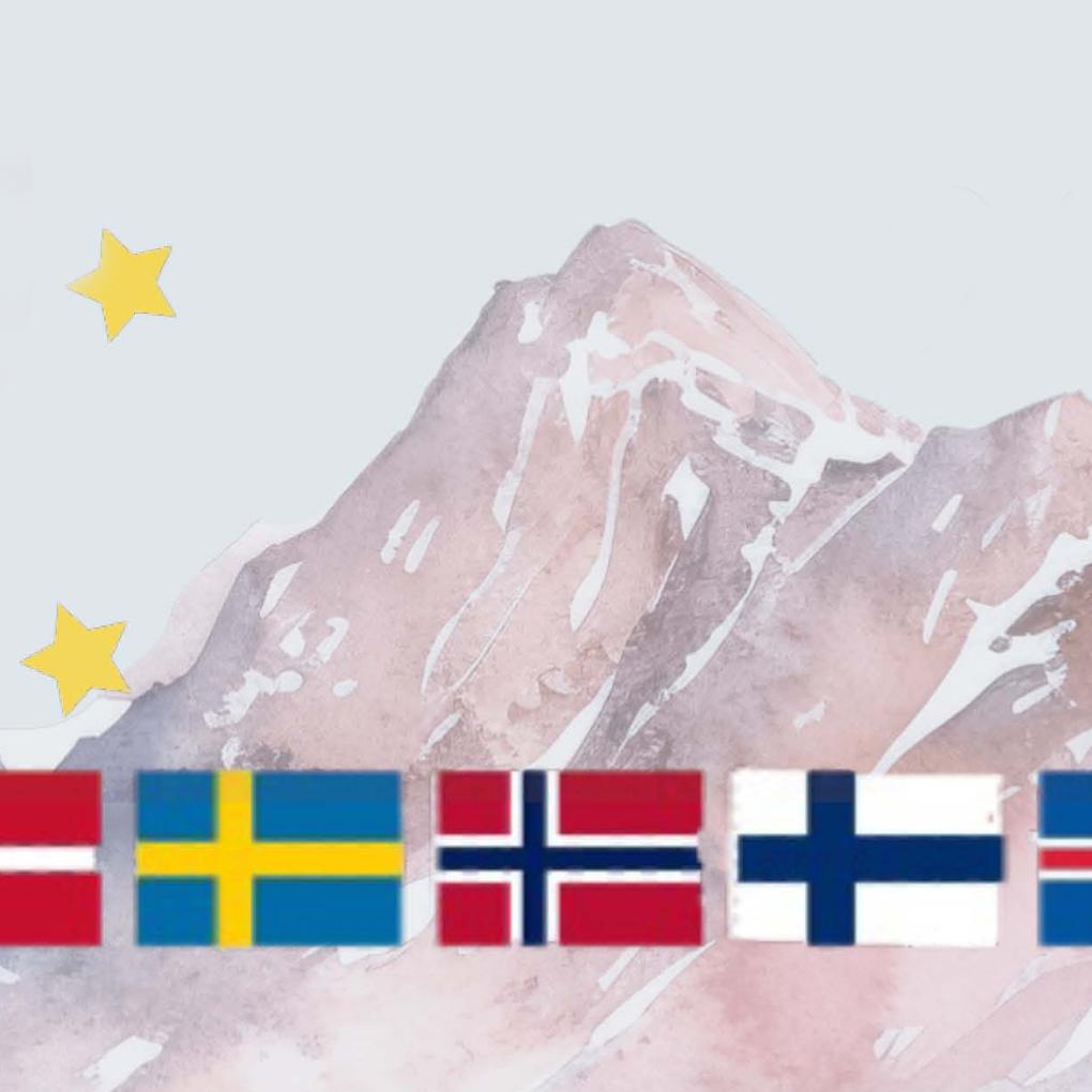 Website_Skandinavien