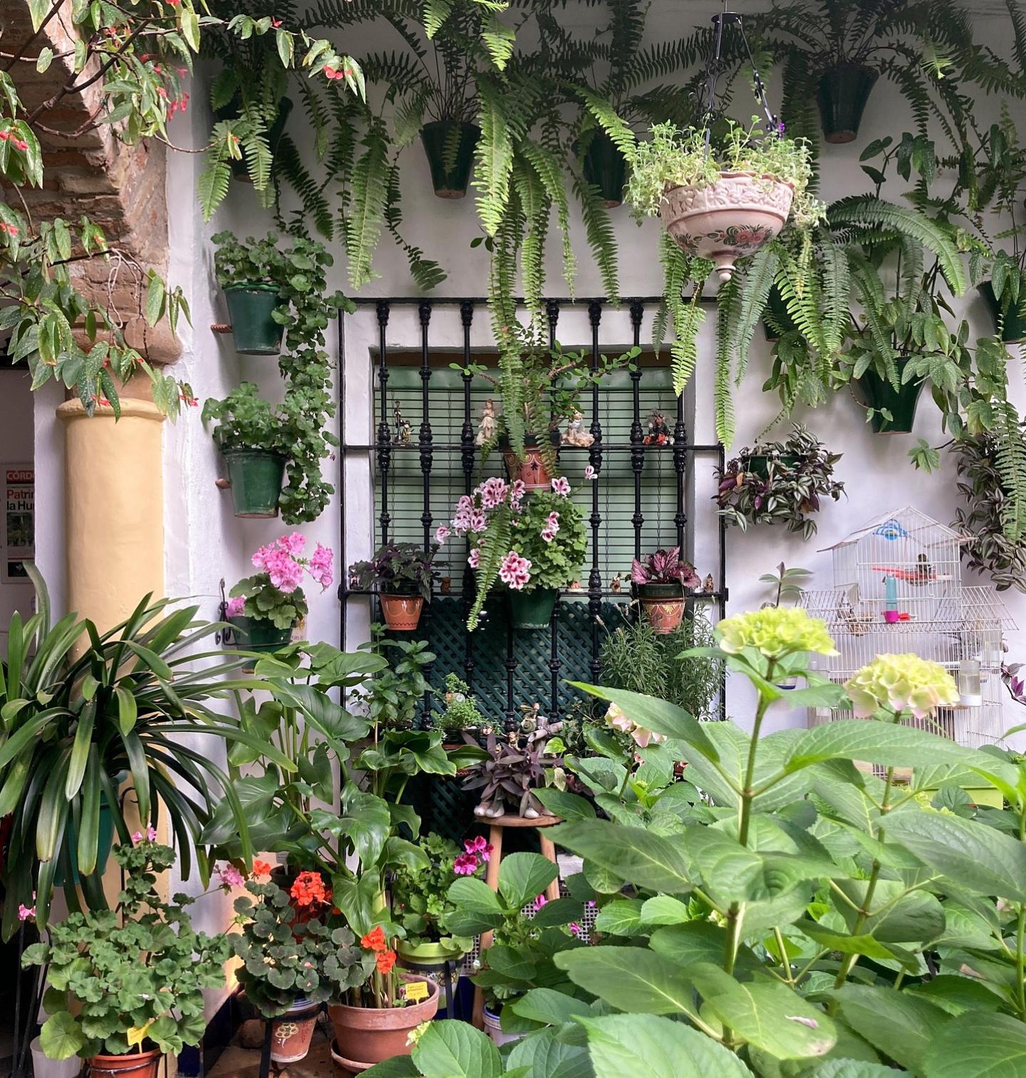 Andalusischer Innenhof mit vielen Pflanzen und Blumen